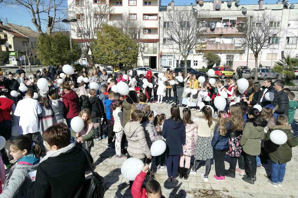 Sa današnje manifestacije u Danilovgradu, Foto: Jelena Jovanović