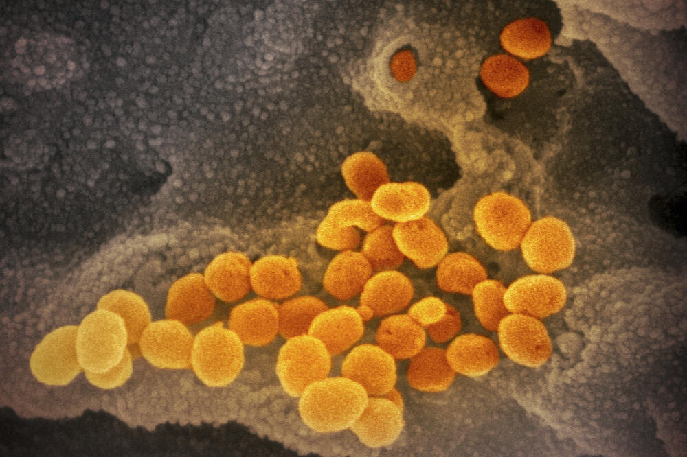 Koronavirus (Ilustracija), Foto: BETA/AP