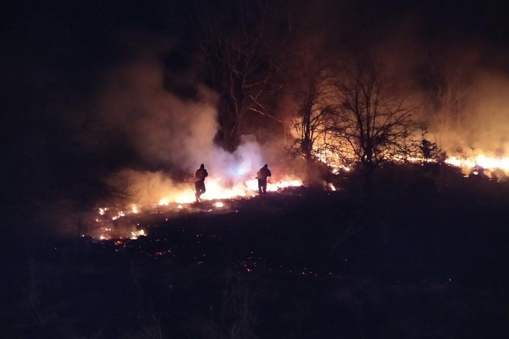 Požar se bio približio i kućama, Foto: SZS Kolašin