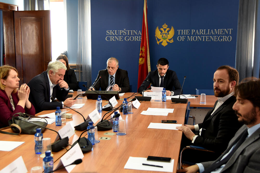 Sa sjednice Odbora, Foto: Luka Zeković