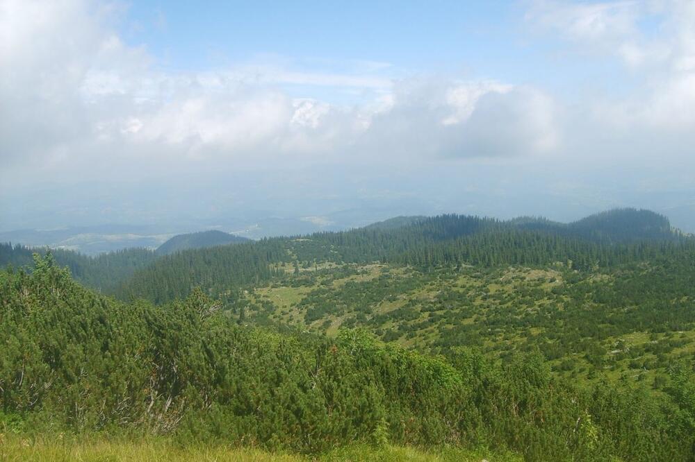 Planina Ljubišnja, Foto: TO Pljevlja