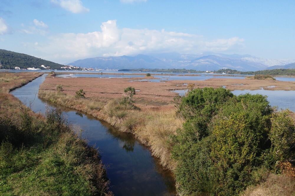 Rezervat prirode Solila, Foto: Siniša Luković