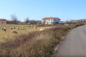 Vijesti u pola sedam: Kako su mještani Zoganja reagovali na ideju...