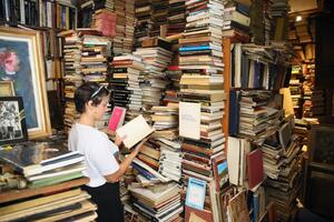 Antikvarnica, prah starih knjiga