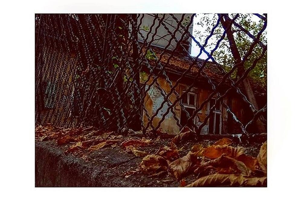 Ksenija Vlatković, Foto: Ksenija Vlatković