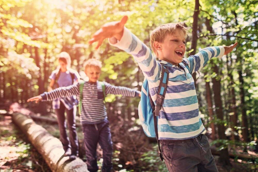 Ilustracija, Foto: Shutterstock