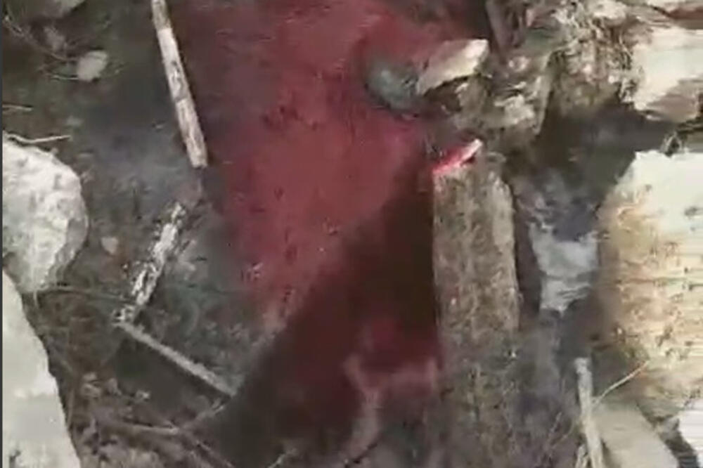 Izlivanje krvi u Zetu, Foto: Screenshot video snimka