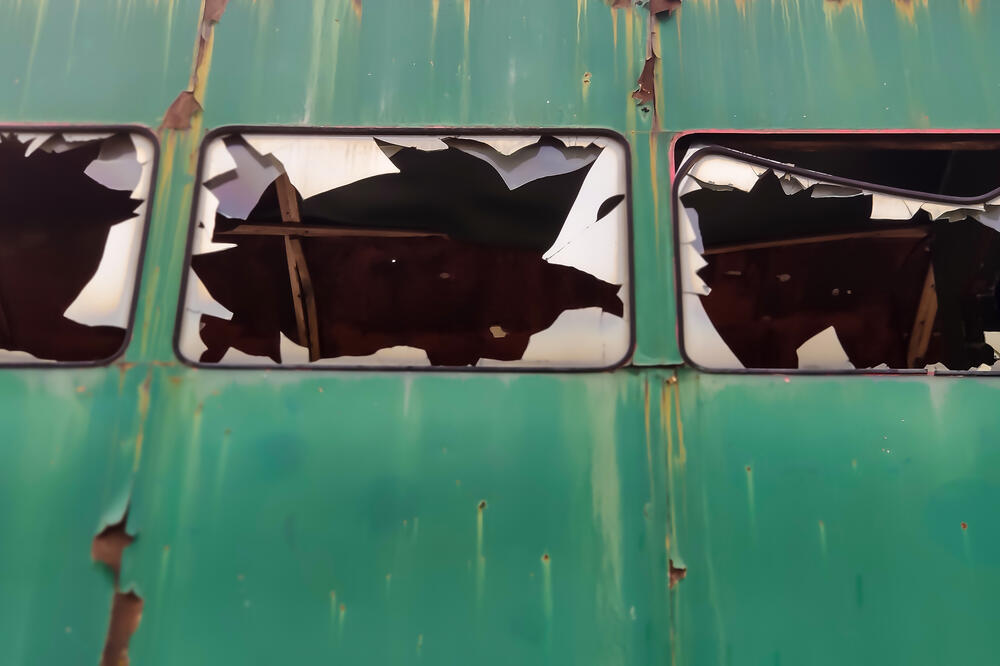 Ilustracija, Foto: Shutterstock