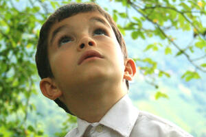 Kad nestanu i pčele i pčelar