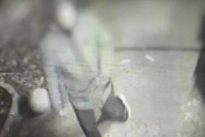 Dežurni nevini krivci