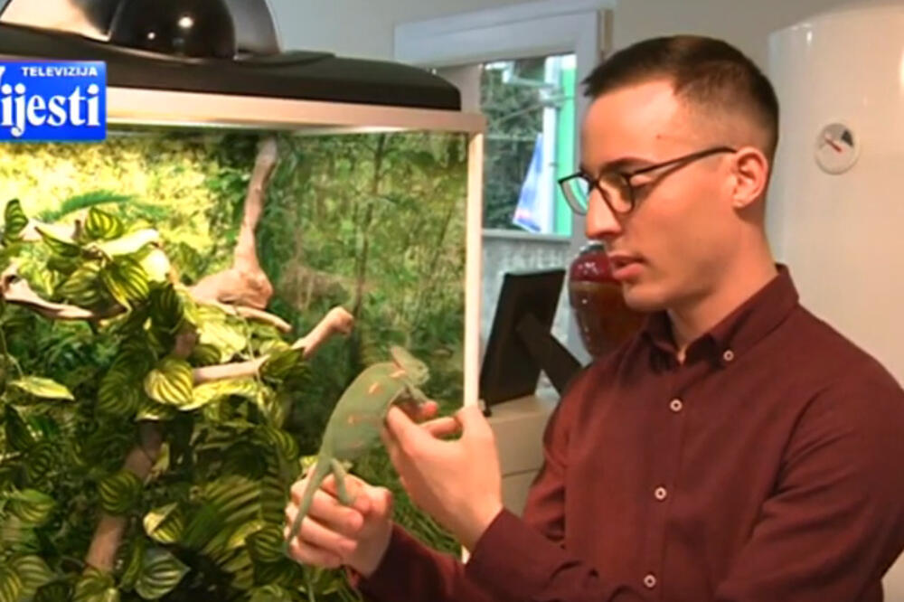 Jutarnji program TV Vijesti