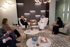 Sekulić: UAE u 2017. i 2018. najveći investitor u CG, postoji puno...