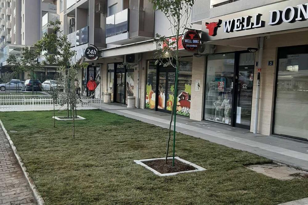 Zelena površina oko koje se spore stanari i vlasnici poslovnih prostora, Foto: Privatna arhiva