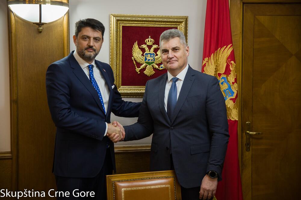 Vladimir Božović i Ivan Brajović, Foto: Skupstina.me
