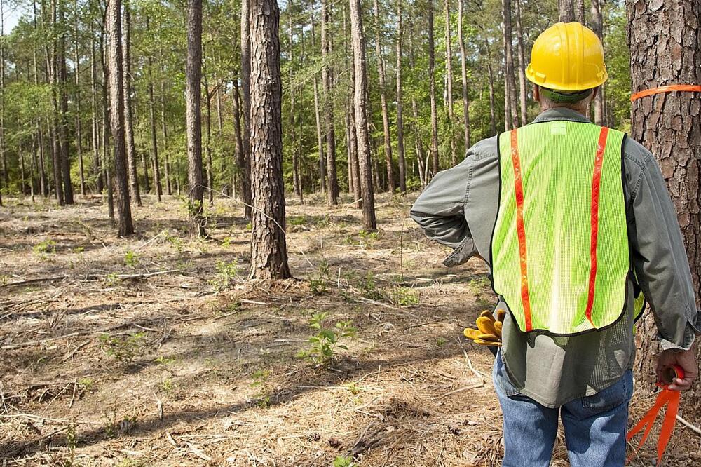 Ilustracija, Foto: Zastita.eu