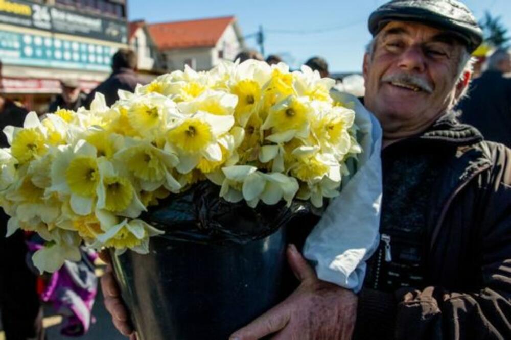 Nije svejedno koje ćete cveće kupiti, Foto: GETTY/DMITRY FEOKTISTOV