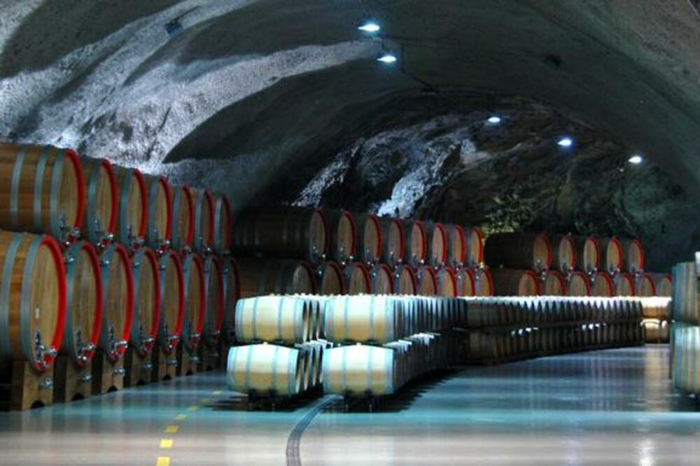 Kompanija "13 jul - Plantaže", Foto: Luka Zeković, Luka Zeković, Luka Zeković