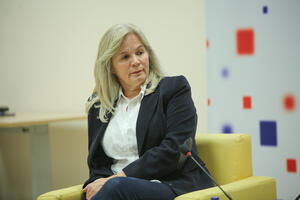 Sporna pitanja mogu usporiti reforme i put ka EU