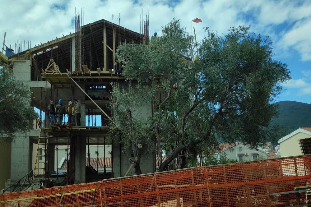 Zastava istaknuta u budvanskom naselju Podkošljun, Foto: Čitalac Vijesti