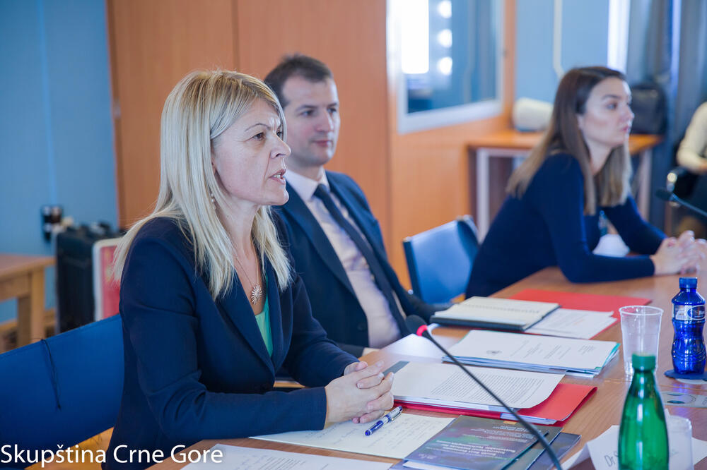 Damjanović i Ivanović na sjednici skupštinskog Odbora, Foto: Igor Šljivančanin