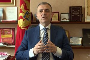 Hrapović: U Crnoj Gori nije potvrđen ni jedan slučaj koronavirusa,...