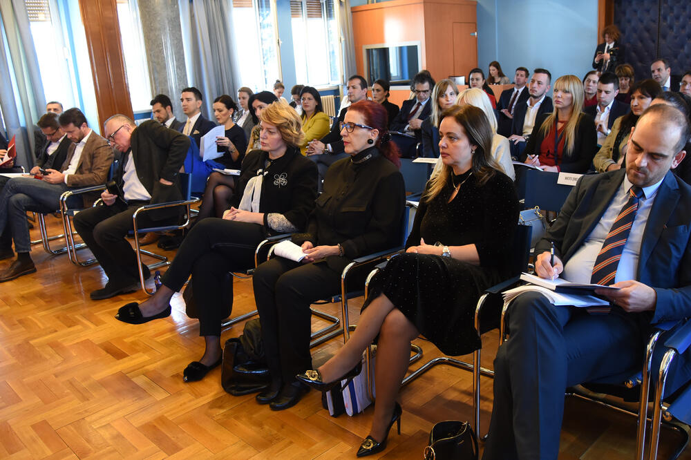 Debata o konkurenciji - jedinom poglavlju koje Crna Gore nije otvorila: Sa Odbora za evropske integracije, Foto: Luka Zeković