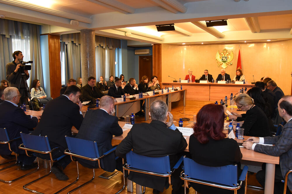 Privremeno zabranjeno okupljanje građana: Sa ranije sjednice jednog od odbora, Foto: Savo Prelević