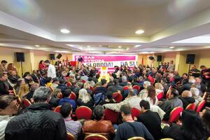 Demokrate: Država u kandžama kriminala i korupcije