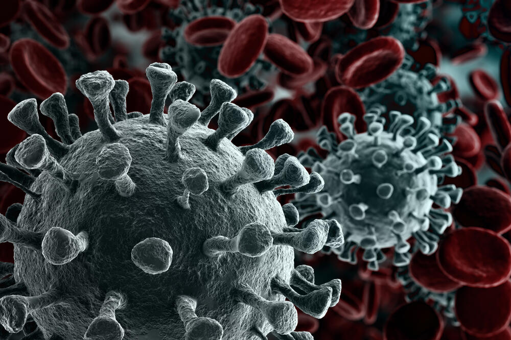 koronavirus, Foto: Shutterstock