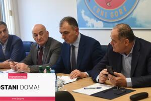 Montenegro Airlines prizemljen, privremeno obustavljen međunarodni...