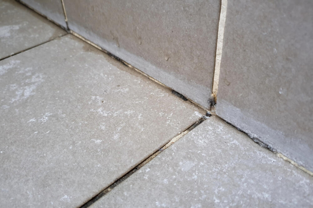 Ilustracija, Foto: Shutterstock