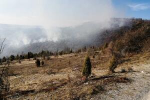 Pljevljak životno ugrožen: Paljenje vatre izmaklo kontroli