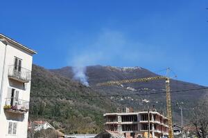 Tivat: Šumski požar u Gornjoj Lastvi