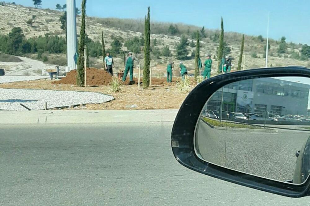 Fotografija koju su dostavile Demokrate, Foto: Demokrate