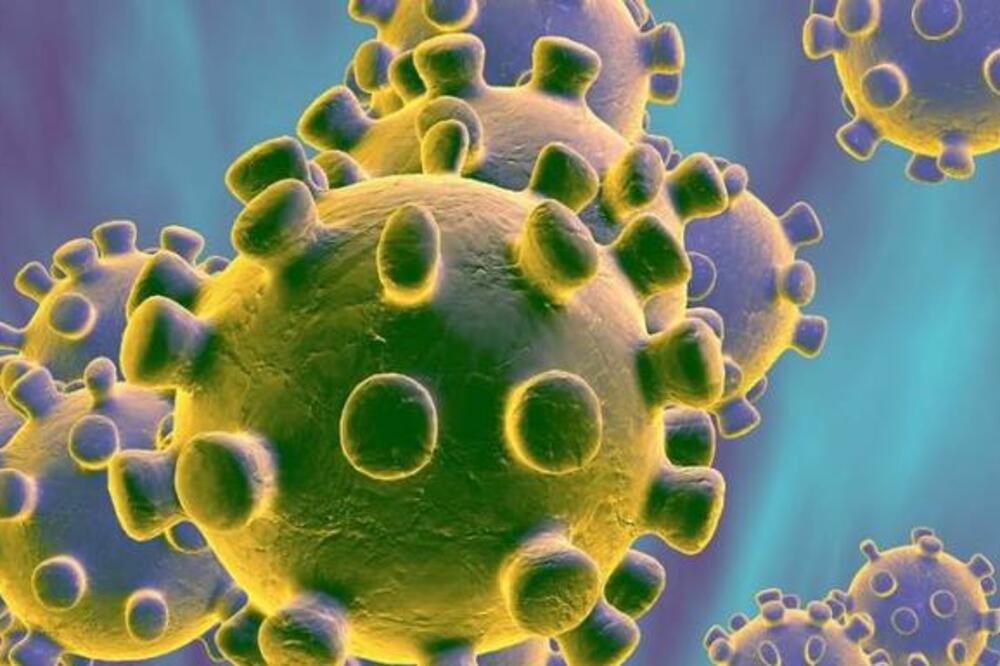 Koronavirus, Foto: Institut za javno zdravlje, Institut za javno zdravlje