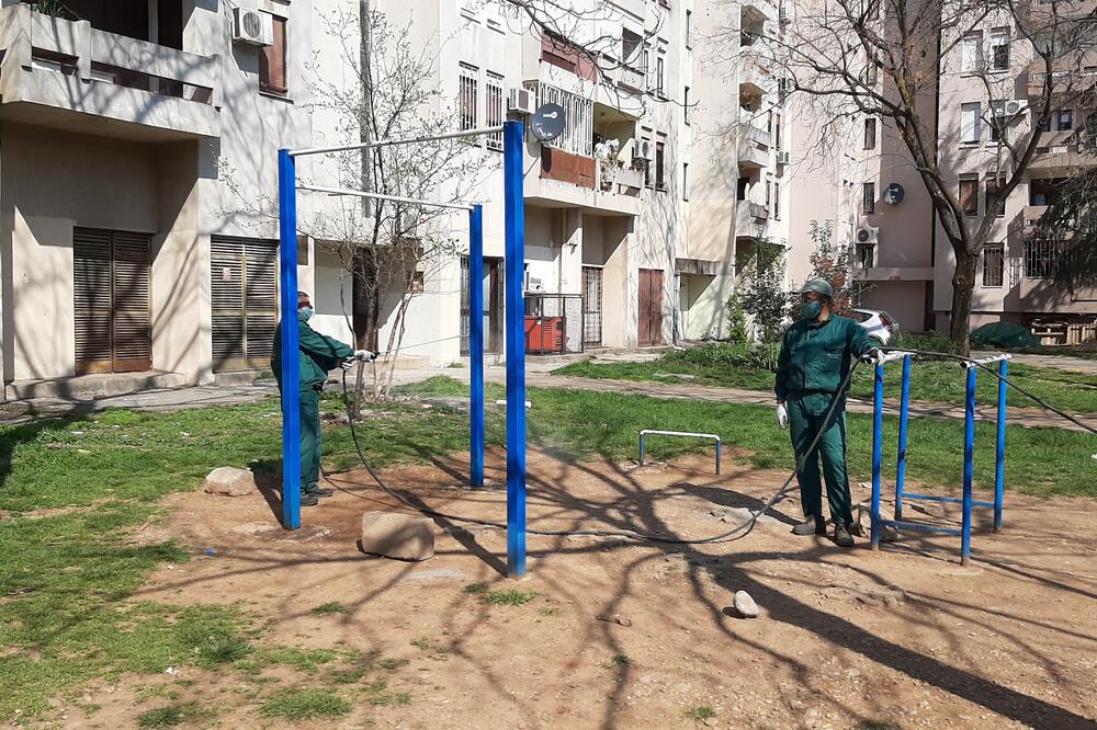 Zelenilo PG, Foto: Zelenilo PG