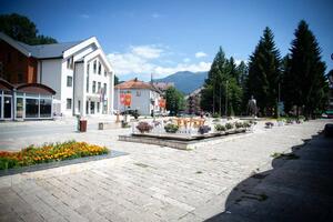 U Mojkovcu obezbijeđen servis za stara lica bez pomoći, hronične...