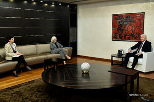 Marković-Mekluni: Crna Gora pokazala sposobnost upravljanja...