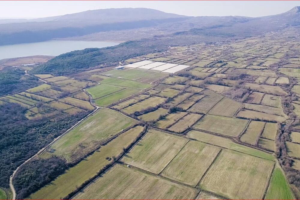 Imanje Šas, Foto: Voli