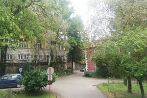 Brezovik spreman za koronavirus