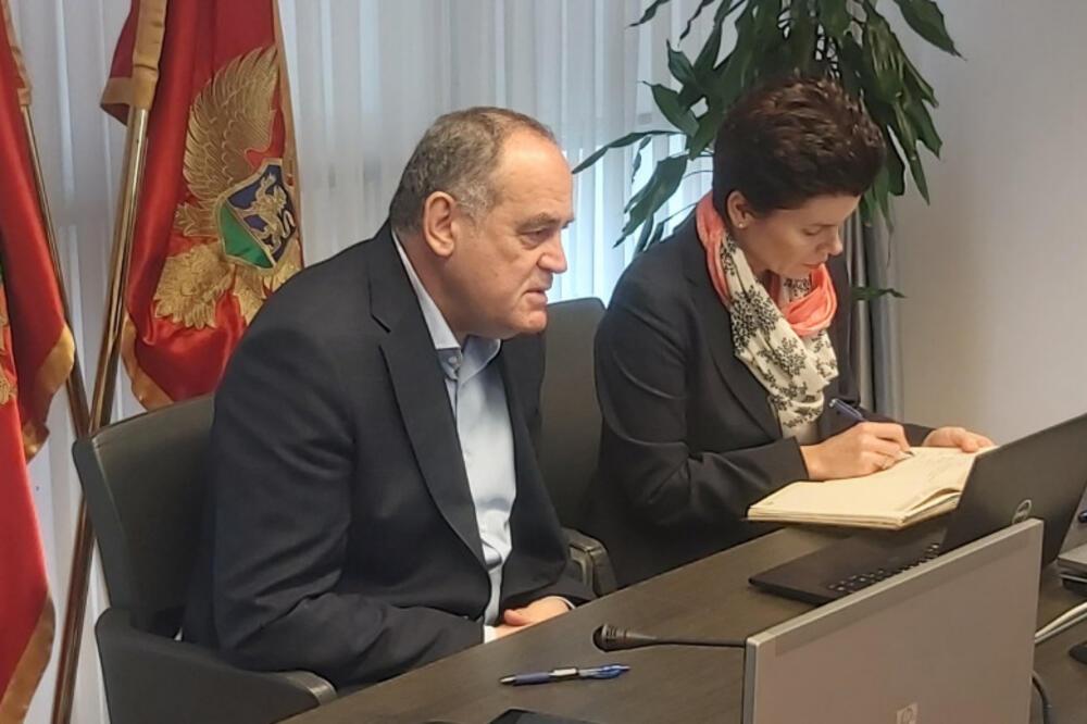 Detalj sa video konferencije, Foto: Gov.me