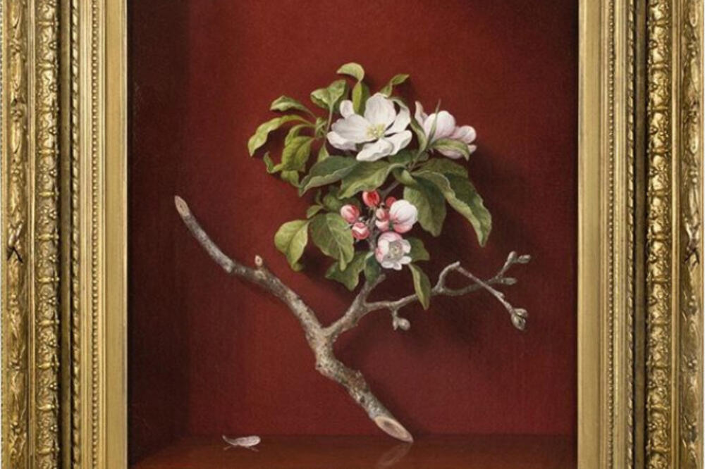 Martin Johnson Heade, 1868. ulje na platnu, Foto: Instagram
