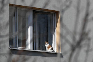 Jutrenje u doba izolacije