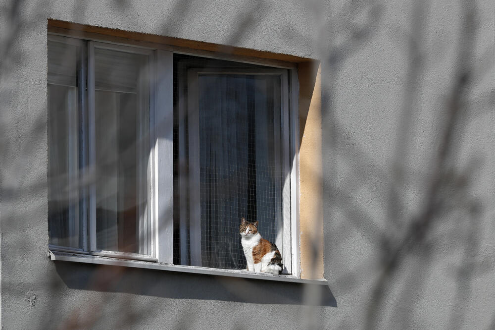 Ilustracija, Foto: Beta/AP