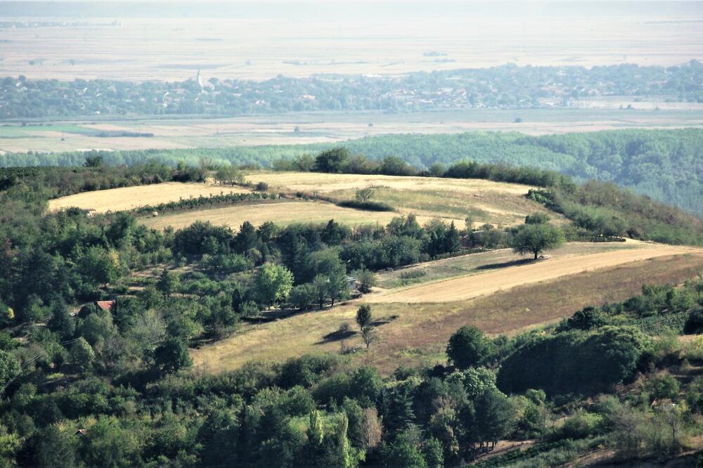 Pogled sa Stražilova na Frušku goru, Foto: Dragoslav Dedović