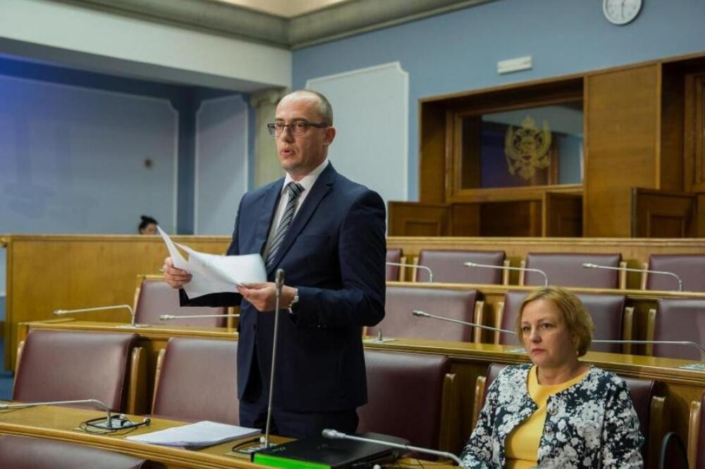 Elmir Kurtagić, Foto: Skupština Crne Gore
