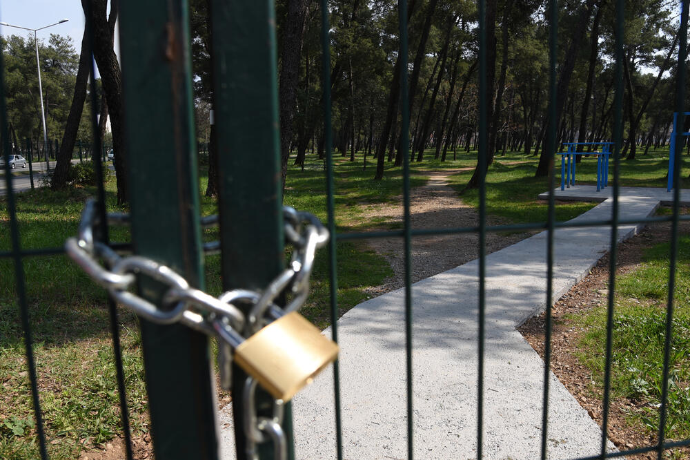 Tološka šuma: Ilustracija, Foto: Savo Prelević