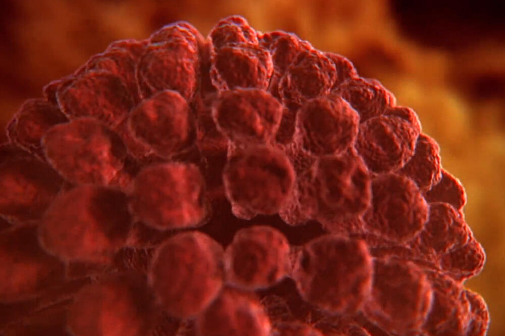 Serijal "Moj Svijet"