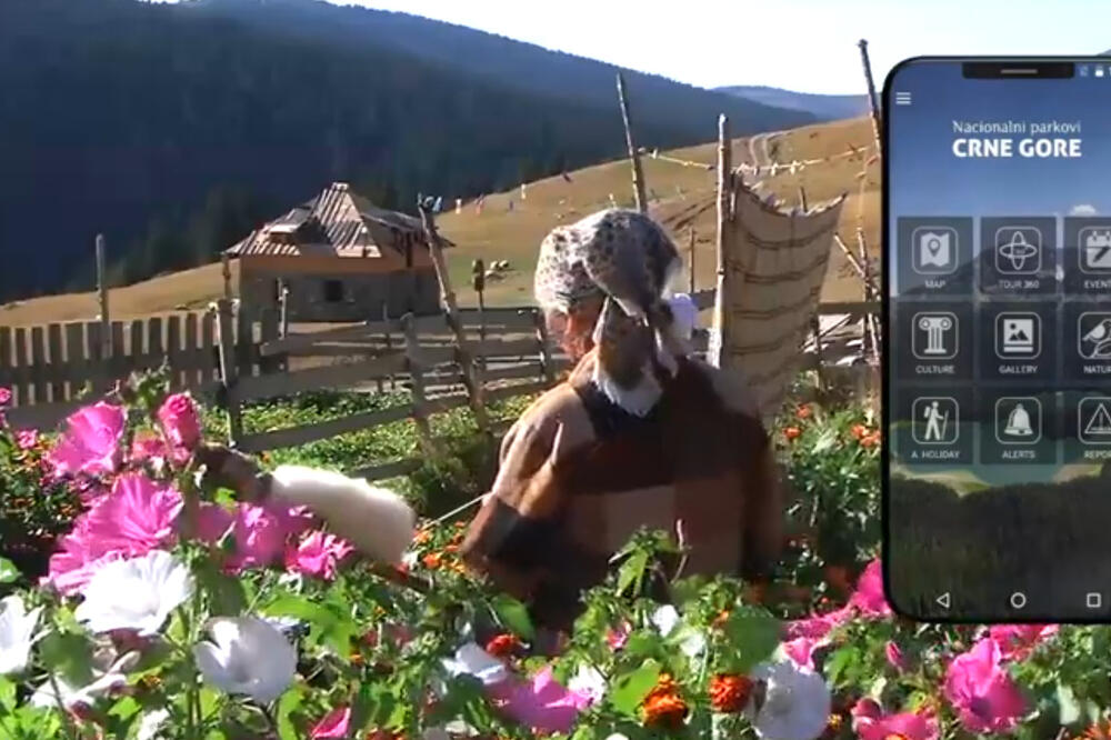 Iz serijala "Ostani doma uz prirodu", Foto: NPCG