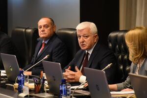 Vlada bez sjednice odlučila o načinu raspodjele donacija